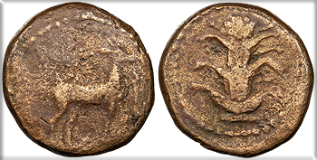 Featured Ancient Coin: Kyrenaica under Egypt Kyrene (Cyrene)  temp. Ptolemy I, as satrap ca. 308-305 B.C. AE17
